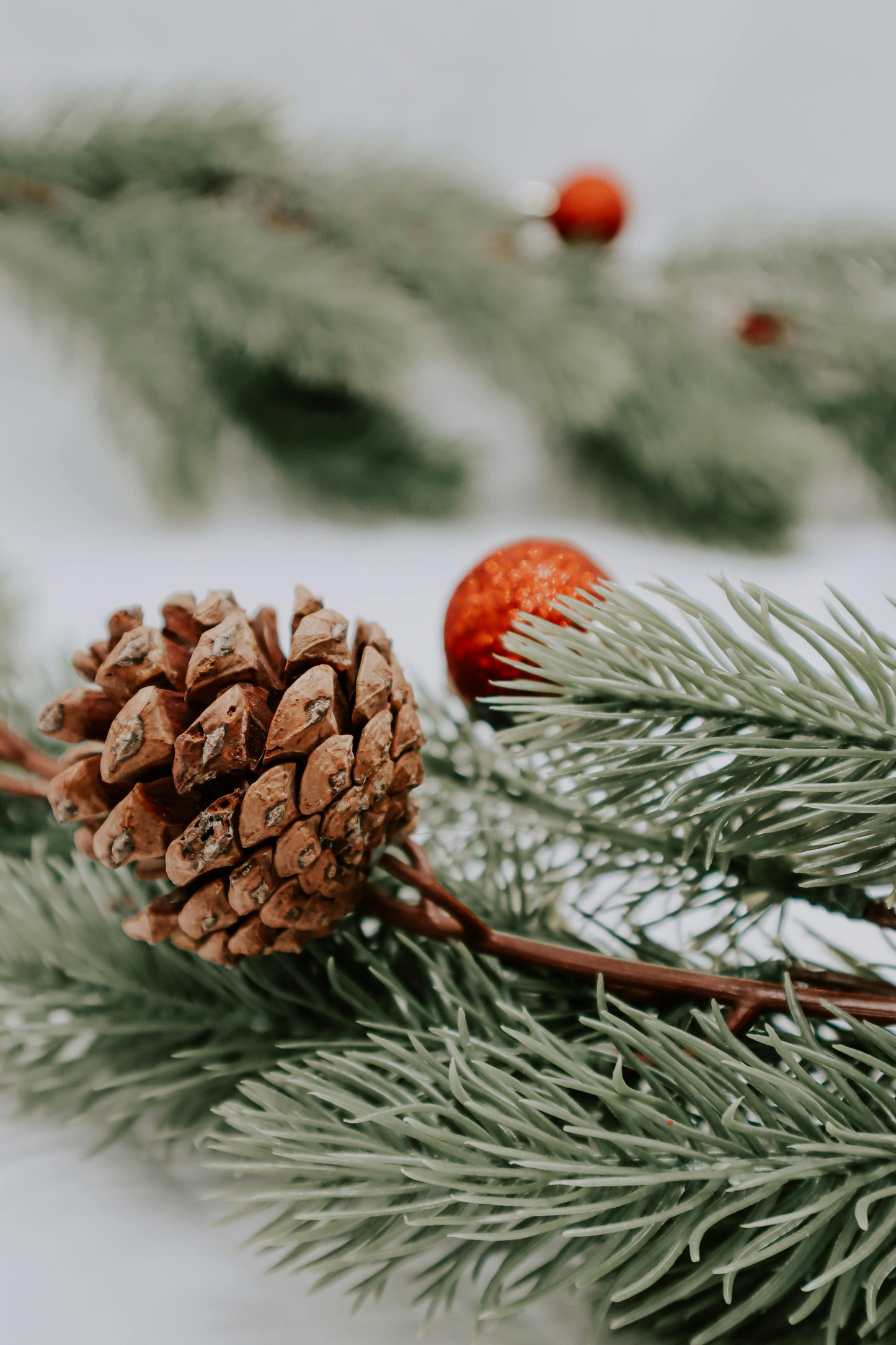 La festive - Boite éphémère