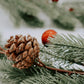 La festive - Boite éphémère